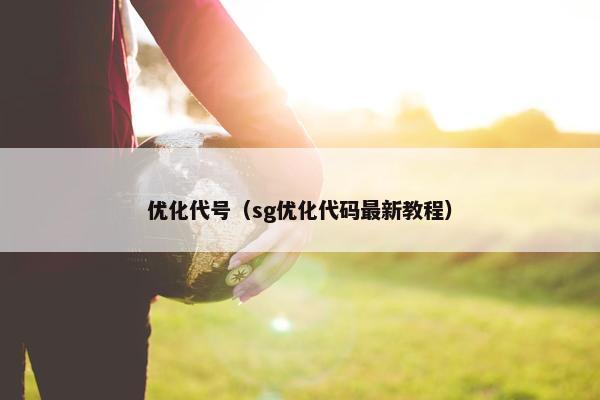 优化代号（sg优化代码最新教程）
