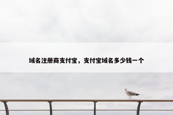 域名注册商支付宝，支付宝域名多少钱一个
