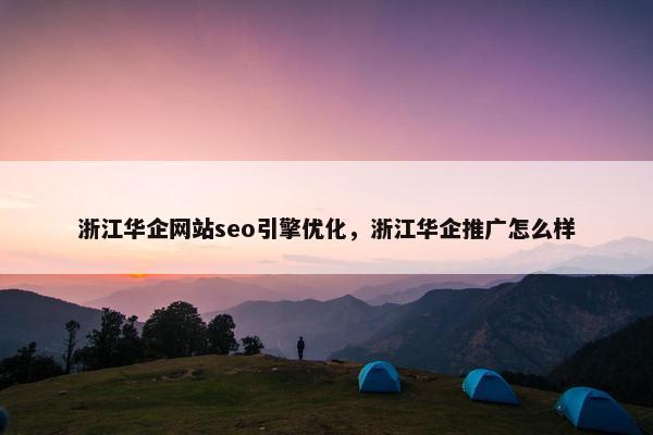 浙江华企网站seo引擎优化，浙江华企推广怎么样