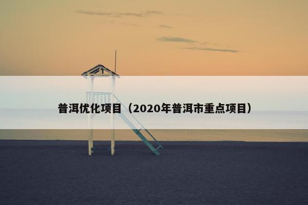普洱优化项目（2020年普洱市重点项目）