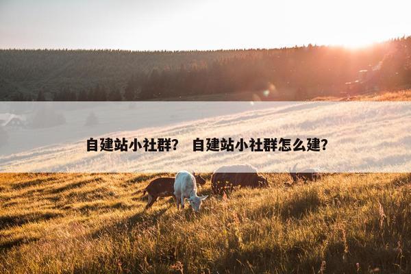 自建站小社群？ 自建站小社群怎么建？