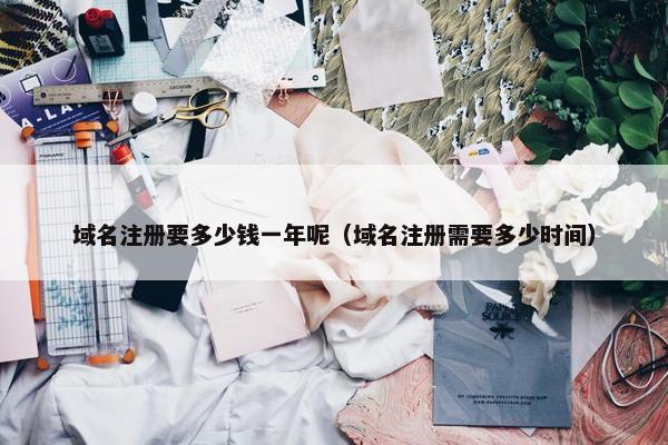 域名注册要多少钱一年呢（域名注册需要多少时间）