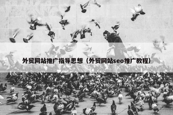 外贸网站推广指导思想（外贸网站seo推广教程）