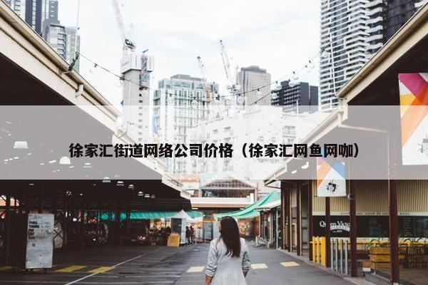 徐家汇街道网络公司价格（徐家汇网鱼网咖）