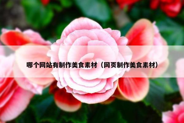 哪个网站有制作美食素材（网页制作美食素材）