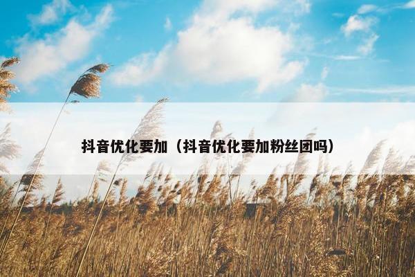 抖音优化要加（抖音优化要加粉丝团吗）