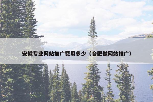 安徽专业网站推广费用多少（合肥做网站推广）