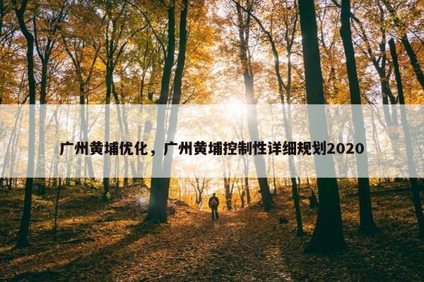 广州黄埔优化，广州黄埔控制性详细规划2020