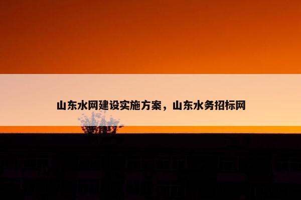 山东水网建设实施方案，山东水务招标网