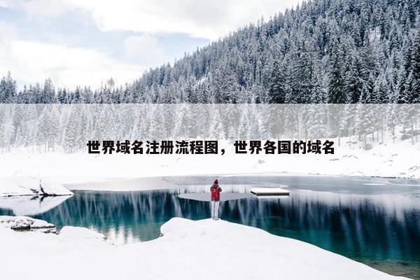 世界域名注册流程图，世界各国的域名