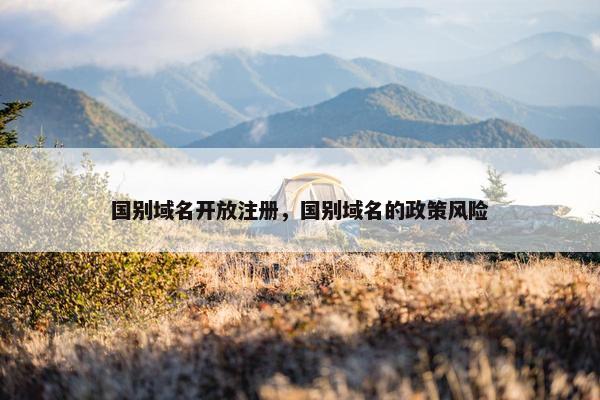 国别域名开放注册，国别域名的政策风险
