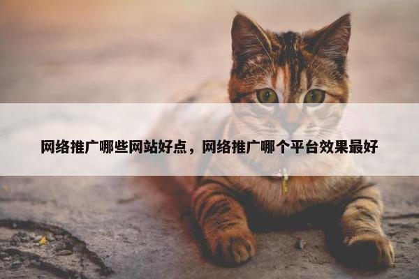 网络推广哪些网站好点，网络推广哪个平台效果最好