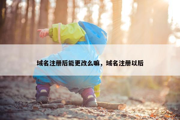 域名注册后能更改么嘛，域名注册以后