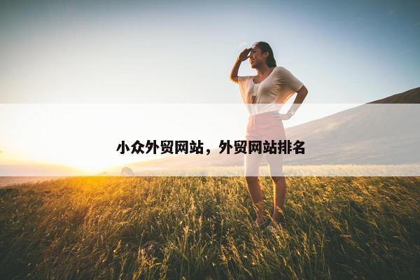 小众外贸网站，外贸网站排名