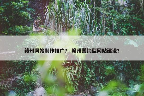 赣州网站制作推广？ 赣州营销型网站建设？