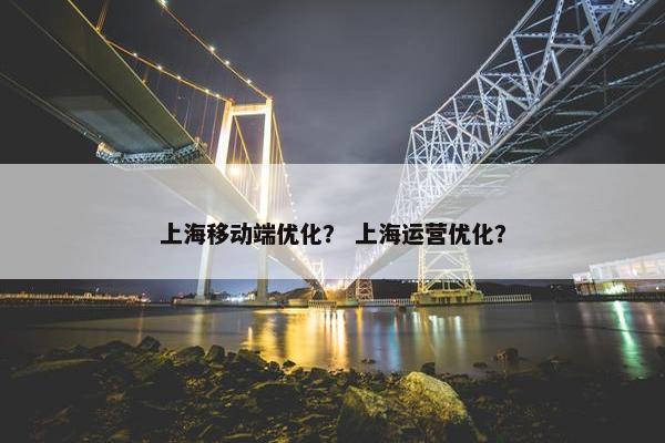上海移动端优化？ 上海运营优化？