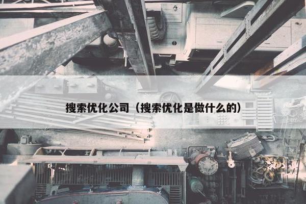 搜索优化公司（搜索优化是做什么的）