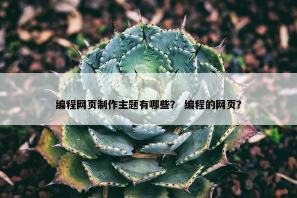 编程网页制作主题有哪些？ 编程的网页？