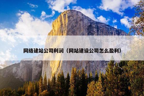 网络建站公司利润（网站建设公司怎么盈利）