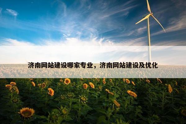 济南网站建设哪家专业，济南网站建设及优化