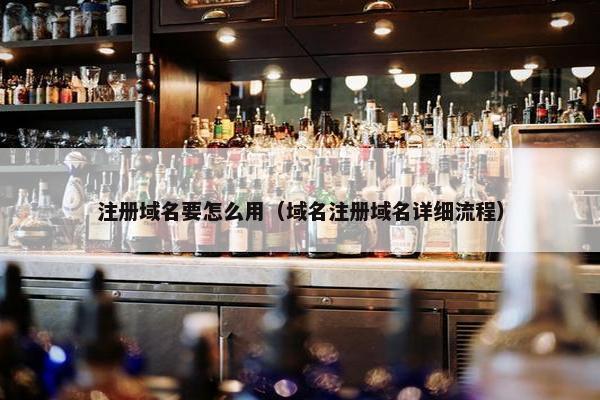注册域名要怎么用（域名注册域名详细流程）
