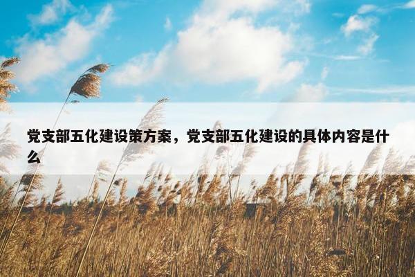 党支部五化建设策方案，党支部五化建设的具体内容是什么