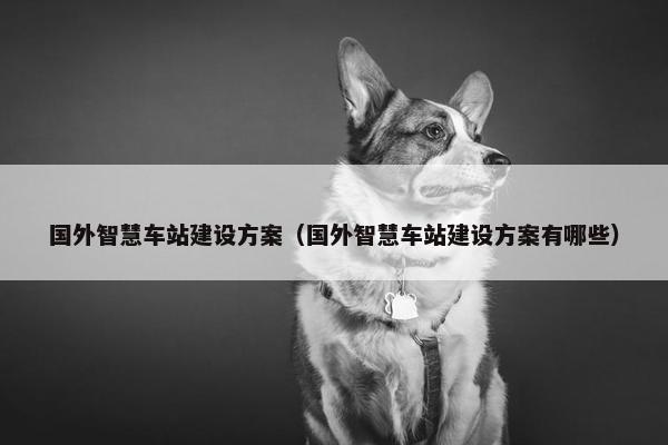 国外智慧车站建设方案（国外智慧车站建设方案有哪些）