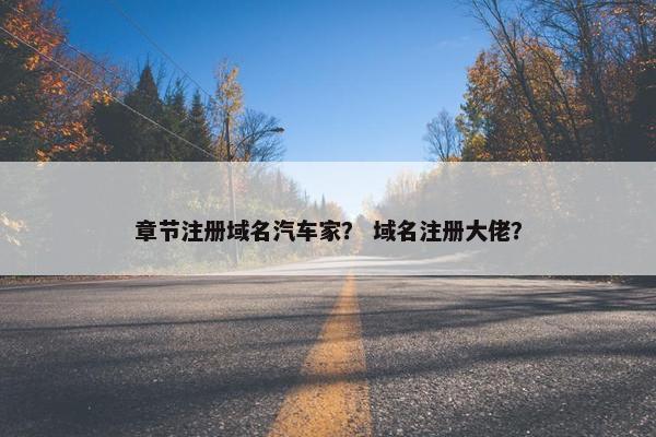 章节注册域名汽车家？ 域名注册大佬？