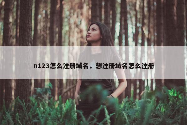 n123怎么注册域名，想注册域名怎么注册
