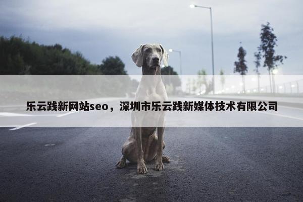 乐云践新网站seo，深圳市乐云践新媒体技术有限公司