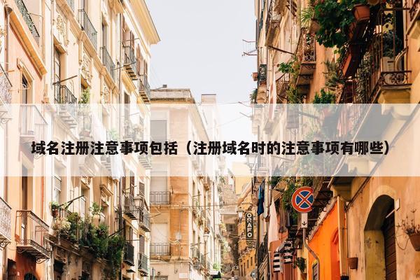 域名注册注意事项包括（注册域名时的注意事项有哪些）