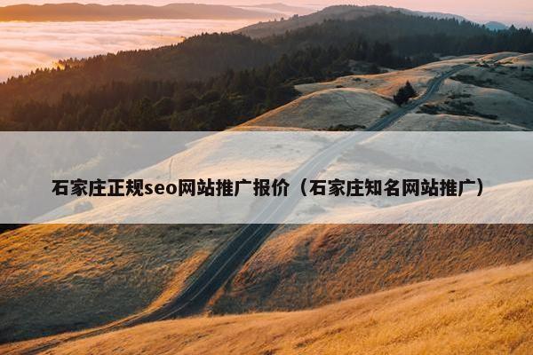 石家庄正规seo网站推广报价（石家庄知名网站推广）