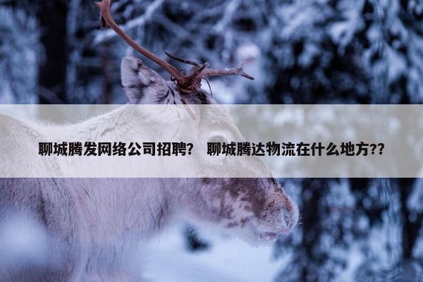 聊城腾发网络公司招聘？ 聊城腾达物流在什么地方?？