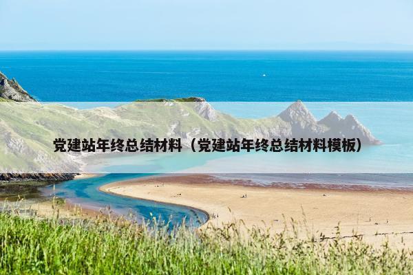 党建站年终总结材料（党建站年终总结材料模板）