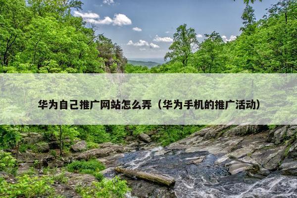 华为自己推广网站怎么弄（华为手机的推广活动）