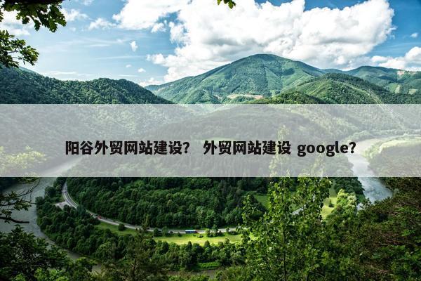 阳谷外贸网站建设？ 外贸网站建设 google？