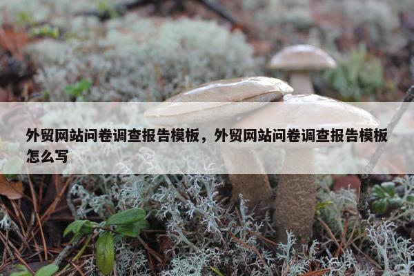 外贸网站问卷调查报告模板，外贸网站问卷调查报告模板怎么写