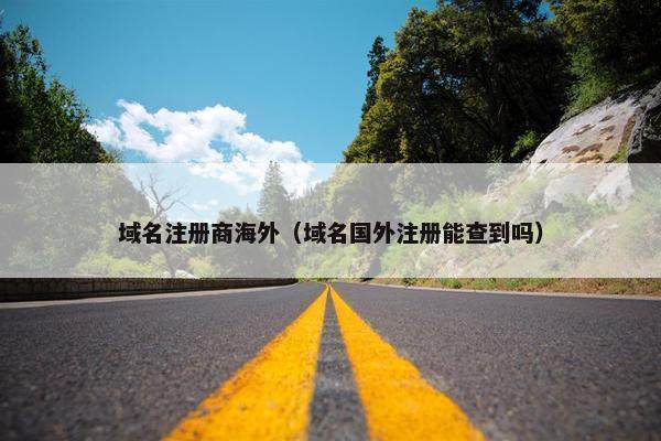 域名注册商海外（域名国外注册能查到吗）