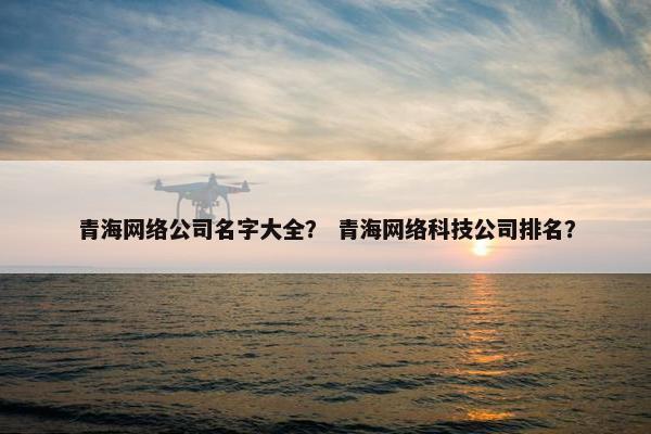 青海网络公司名字大全？ 青海网络科技公司排名？