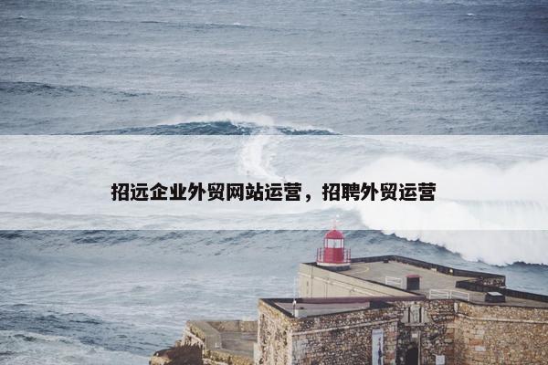 招远企业外贸网站运营，招聘外贸运营