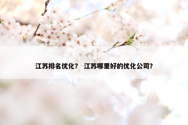 江苏排名优化？ 江苏哪里好的优化公司？