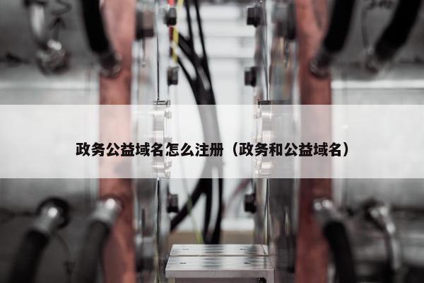 政务公益域名怎么注册（政务和公益域名）