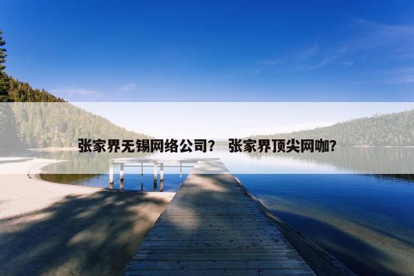 张家界无锡网络公司？ 张家界顶尖网咖？