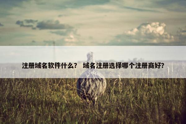 注册域名软件什么？ 域名注册选择哪个注册商好？