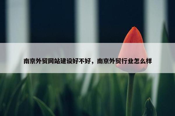 南京外贸网站建设好不好，南京外贸行业怎么样