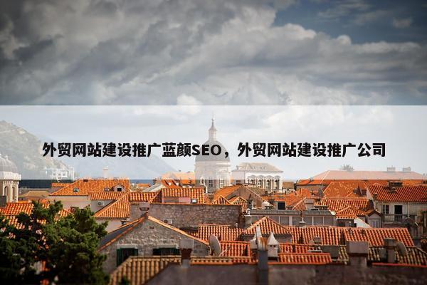 外贸网站建设推广蓝颜SEO，外贸网站建设推广公司