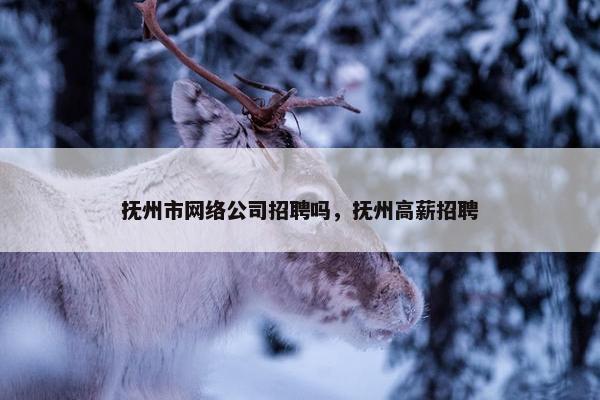 抚州市网络公司招聘吗，抚州高薪招聘
