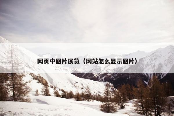 网页中图片展览（网站怎么显示图片）