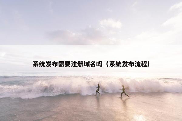 系统发布需要注册域名吗（系统发布流程）