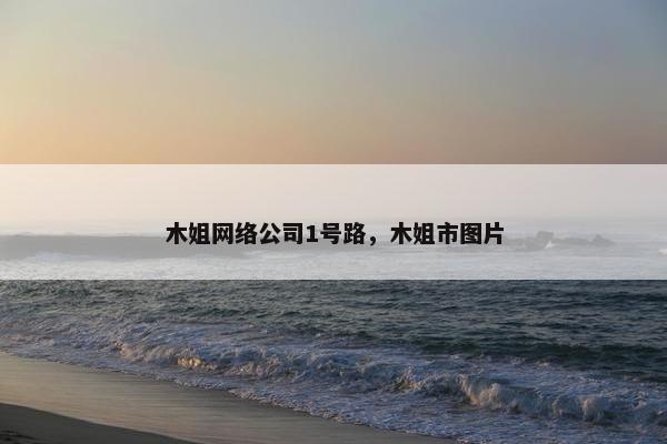 木姐网络公司1号路，木姐市图片
